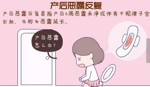 二、搬家与否