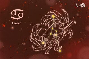 震惊！巨蟹狮子座居然和这个星座最配？99%的人都不知道！