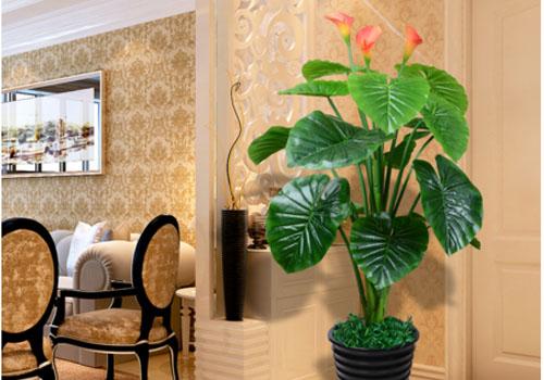 2. 摆放植物 (绿植是好东西!)