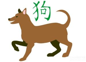2026年属狗的人为何会冲到生肖狗？