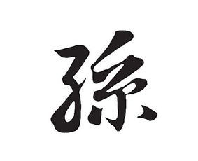 如何给孙姓宝宝取一个霸气又响亮的名字呢？