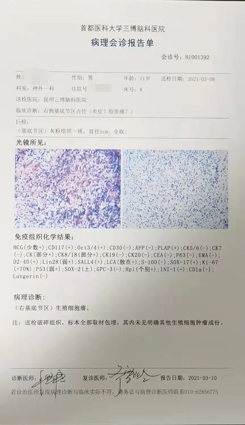 常用汉字的分类与作用