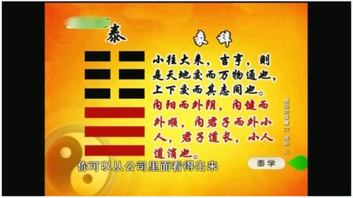 一、 前言——金命开店的“乱世求生”