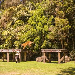 全球最坑爹旅游胜地大揭秘：世界公园风景区让你哭着回家