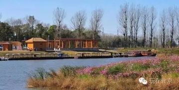 红杨镇的亲子秘境