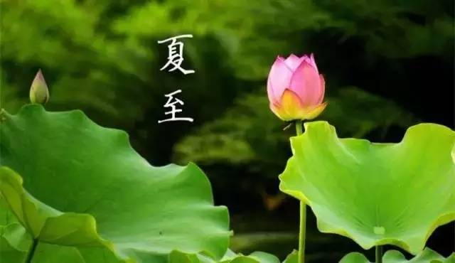 夏至常州，传统风俗韵味浓，爆款必kan！