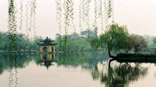 3）秋收月影