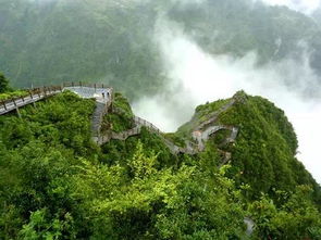 2. 山间较小路上的广告牌