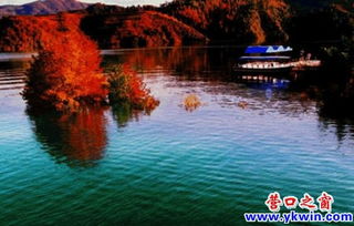 二、市场价格几何？夏日畅游体验
