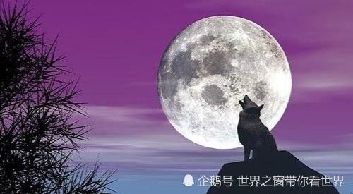 那夜的月亮， 像个被咬了一口的苹果