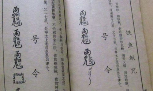 生肖与阴气交织