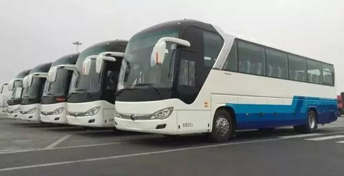 案例A：商务精英遭遇“较大巴翻车”式服务