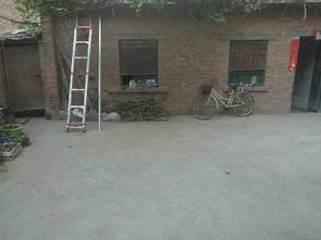 这里头还有不少讲究呢， 你别不当回事