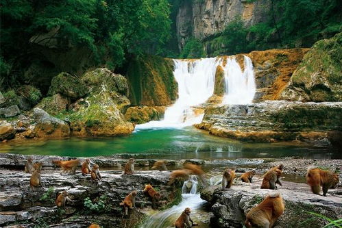 除了坑还有什么好玩的吗？