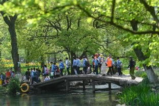 漳州：老城的味道