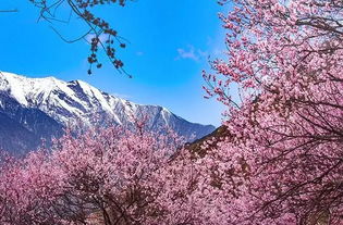 2026年名字测算桃花，如何改写名字让桃花更旺？