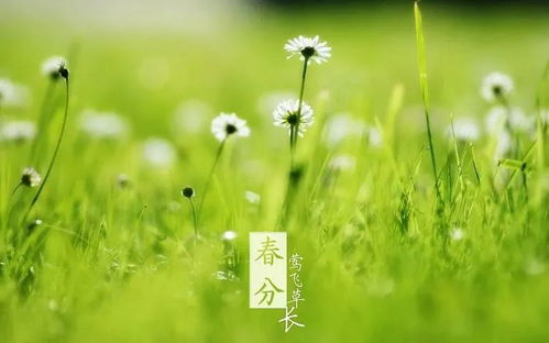 先说说为什么要选吉日这事儿还得从老祖宗说起