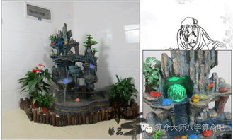 三、 财位宜放绿植,生机勃勃招摇滚