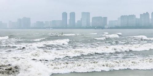 观潮的最佳地点