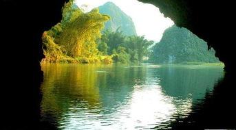 当代巴马迷惑行为大赏