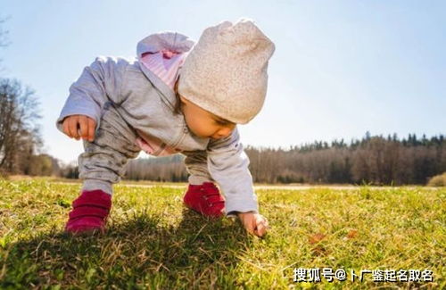 现代化数据解析与命名趋势
