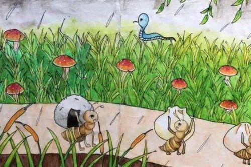 下雨时搬家吉凶如何？蚂蚁下雨前搬往何处？