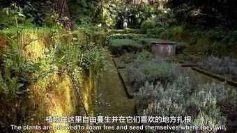星座风水解读：隐藏的信息