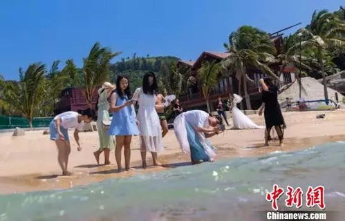 1. 游客数量突破百万