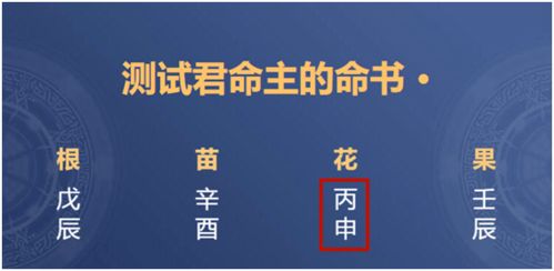 社交达人的财富密码