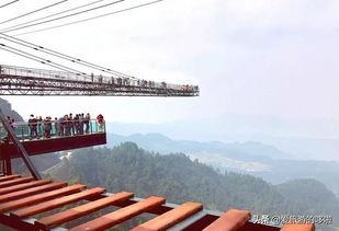 惯与那些自拍的人