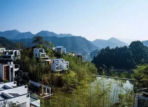 来到黄山以南