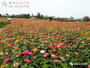 跟随农业生产君， 踏春赏花