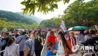 亮点五：研学旅游， 玩中学才是硬道理