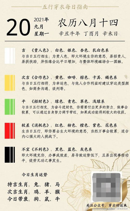 20日五行穿衣指南中，有哪些禁忌需要注意？