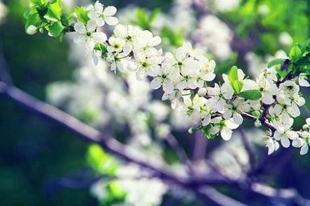 吉日表格：拿走不谢！