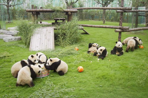 反其道而行之！下午去反而更爽！