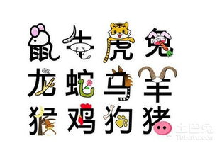 一、 传统方式生肖与结婚吉日的关联