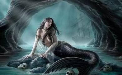 一、 鼠年与海底暗流：潜伏的阴气