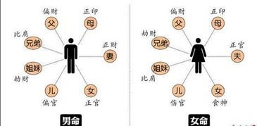 八字基础：年、 月、日、时