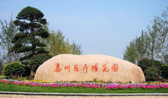 泰州花博园：一个让你钱包哭泣的奇幻乐园