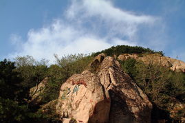 崂山生存指南