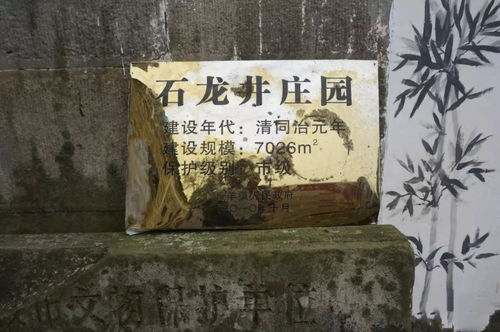三、千年之谜——到底有什么秘密？