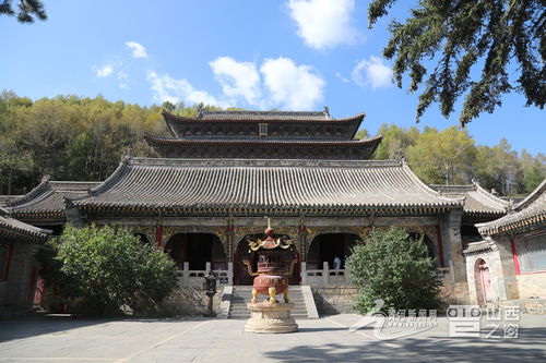 人文故事：从古寺到现代民宿乱入记