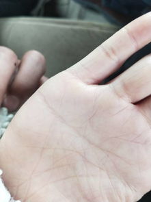 手相看女性婚姻状况如何，能准确预测吗？