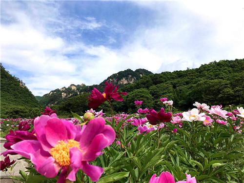 路上的那些事儿：车水马龙也是一种风景？