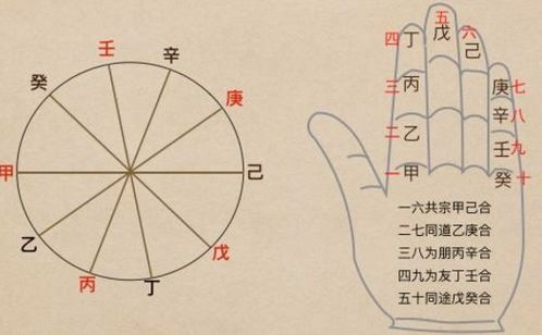 神秘的十天干与那些乱七八糟的组合