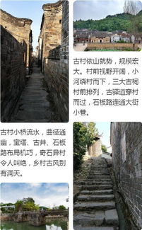 走进1368：网红与怀旧的双重奏