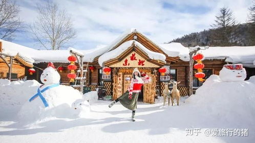 雪乡美食防坑指南