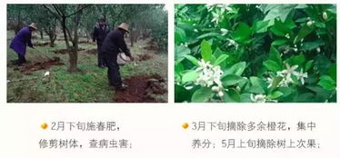 深入调查：揭开真相