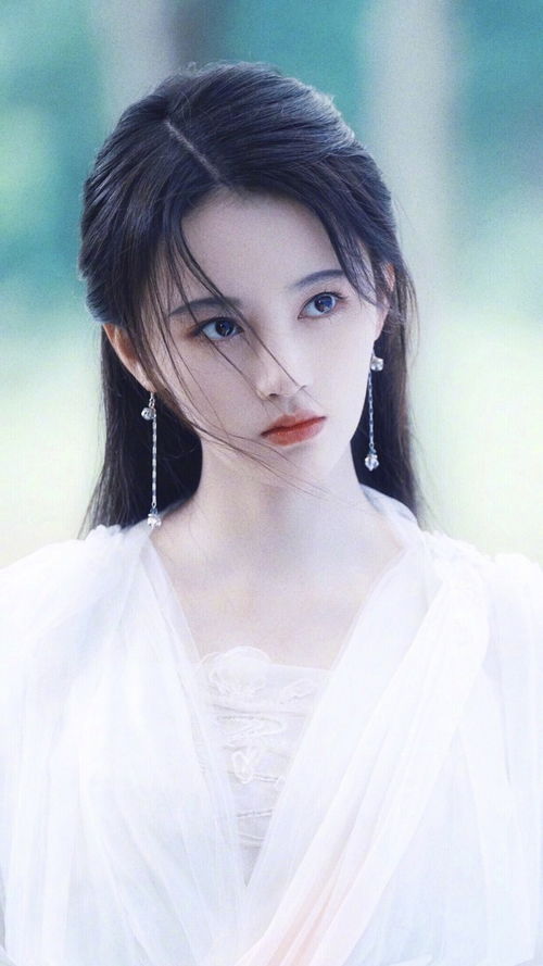 啊！那些让人又爱又恨的生肖动物们